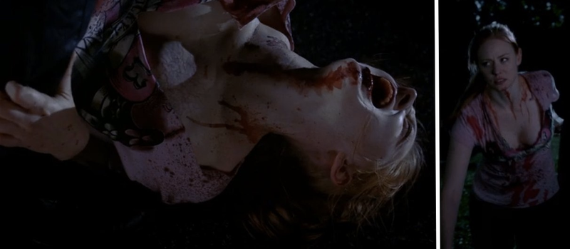 Illustration for article titled True Blood premiere switches from vampire politics to threesomes